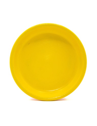 Macetoñín, el macetoño viajero