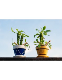 Taller principiantes - “La Pequeña Tamborrada” 2