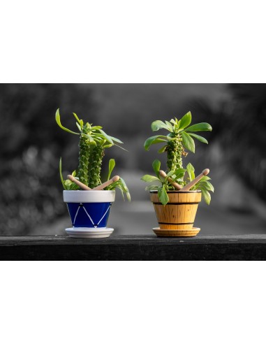 Taller principiantes - “La Pequeña Tamborrada”