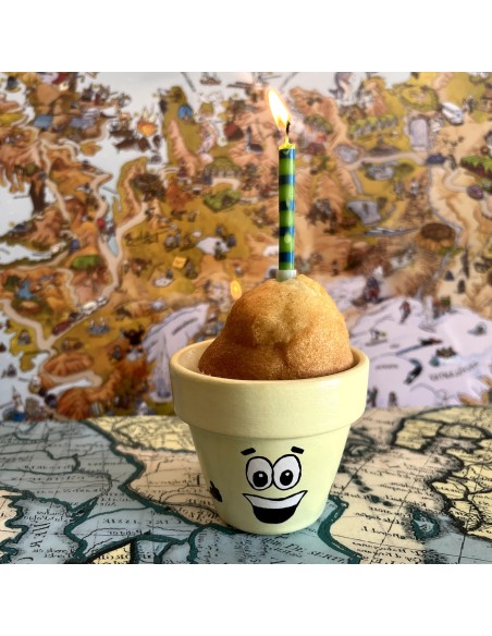 Taller intermedio - “Macetoñín”