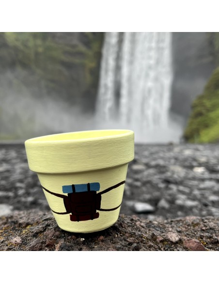 Taller intermedio - “Macetoñín”