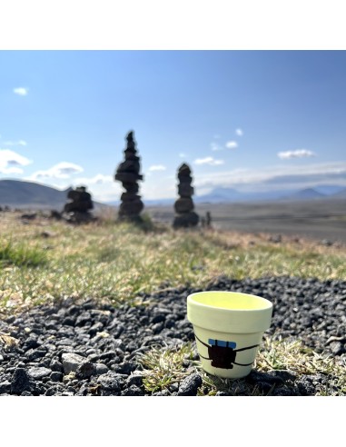 Taller intermedio - “Macetoñín”