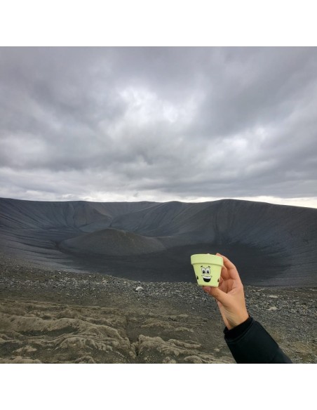 Taller intermedio - “Macetoñín”