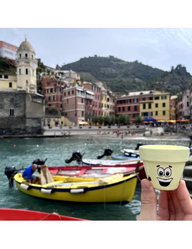 Taller intermedio - “Macetoñín”