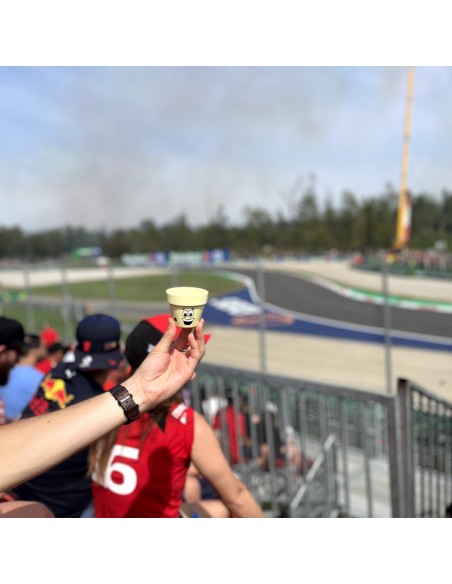 Taller intermedio - “Macetoñín”