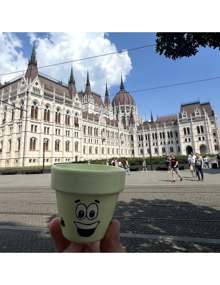 Taller intermedio - “Macetoñín”