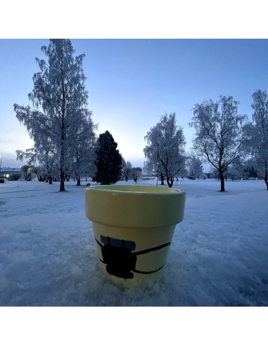 Taller intermedio - “Macetoñín”