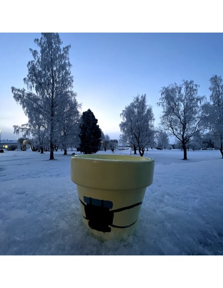 Taller intermedio - “Macetoñín”