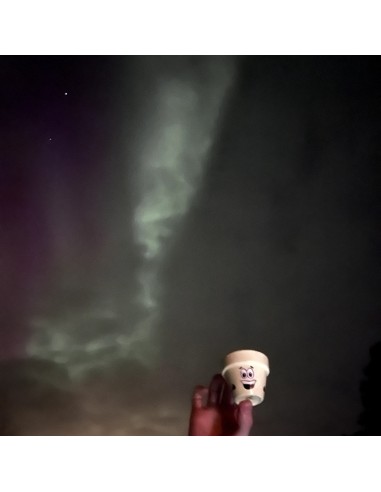 Taller intermedio - “Macetoñín”