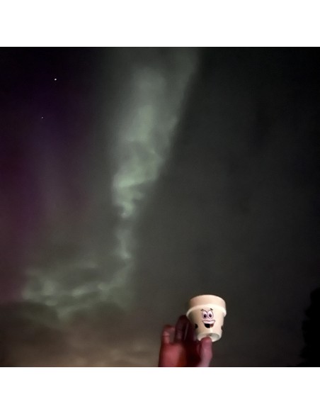 Taller intermedio - “Macetoñín”