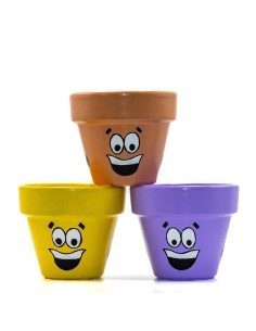 Macetoñín, el macetoño viajero